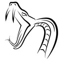 Snake skill